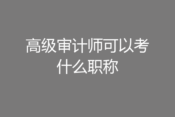 高级审计师可以考什么职称