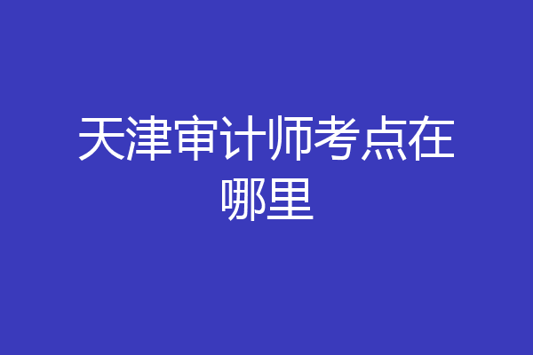 天津审计师考点在哪里