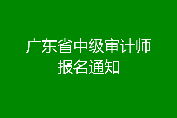 广东省中级审计师报名通知