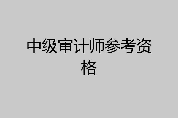 中级审计师参考资格