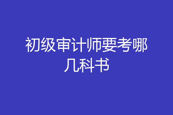 初级审计师要考哪几科书