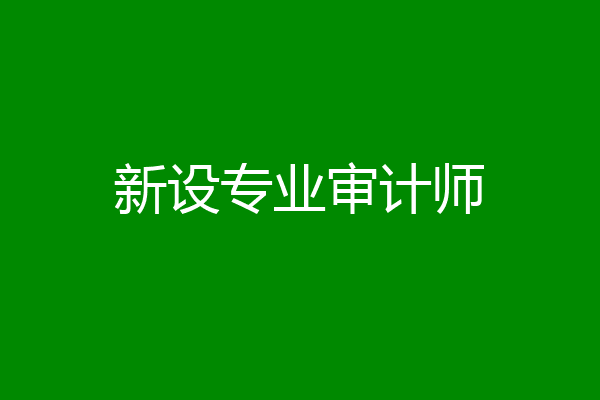 新设专业审计师