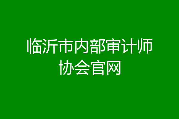 临沂市内部审计师协会官网