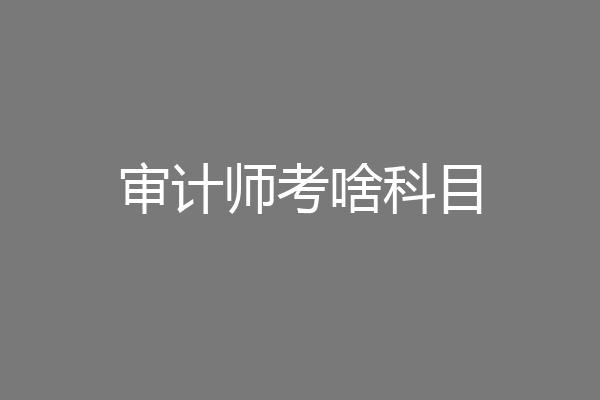 审计师考啥科目