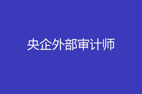 央企外部审计师