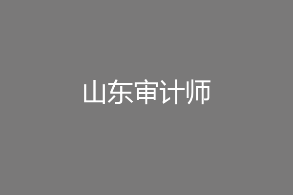 山东审计师
