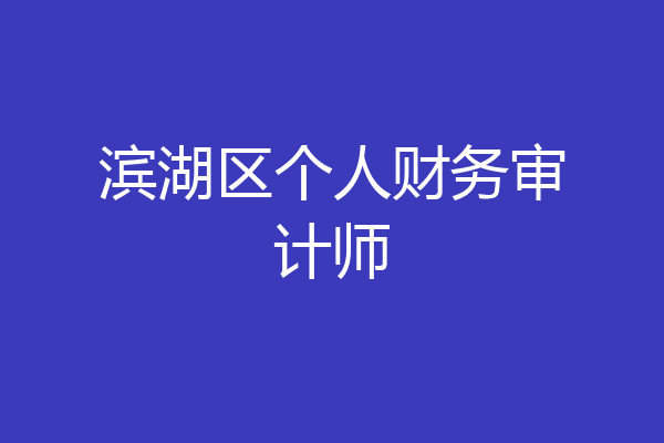 滨湖区个人财务审计师
