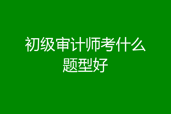 初级审计师考什么题型好