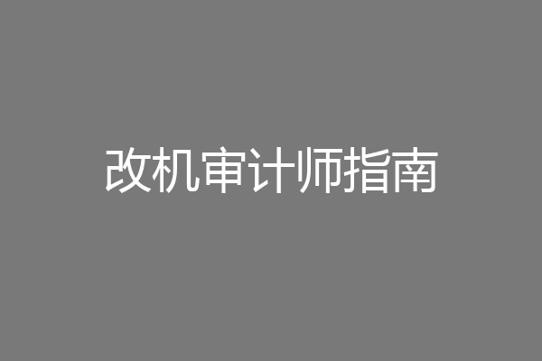 改机审计师指南