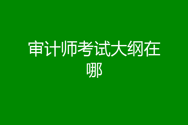 审计师考试大纲在哪