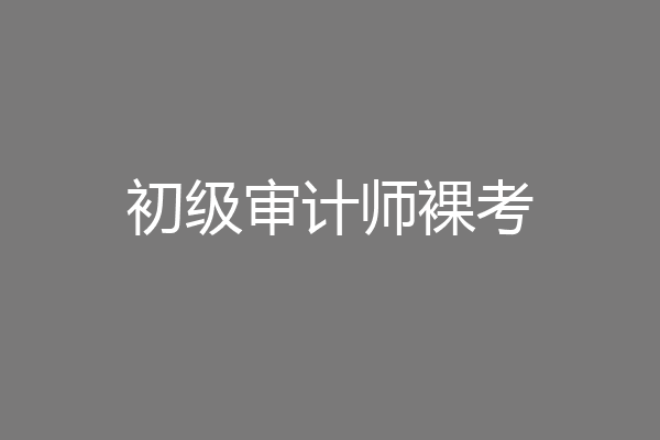 初级审计师裸考
