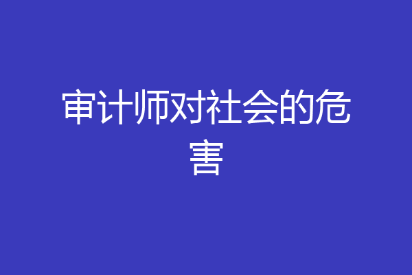 审计师对社会的危害