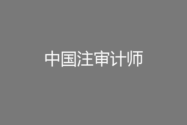 中国注审计师