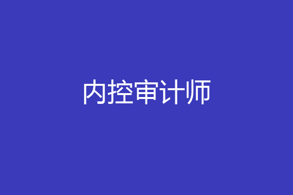 内控审计师