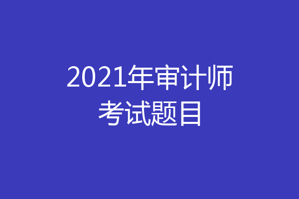 2021年审计师考试题目
