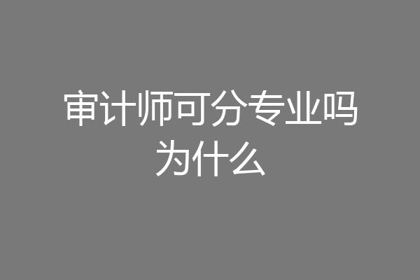 审计师可分专业吗为什么