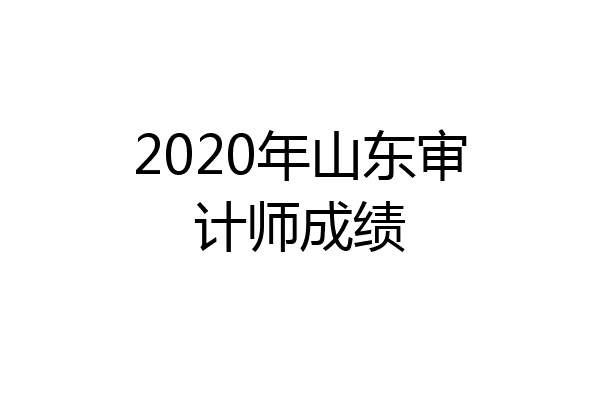 2020年山东审计师成绩