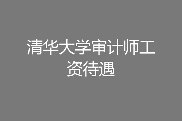 清华大学审计师工资待遇