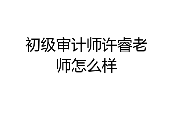 初级审计师许睿老师怎么样