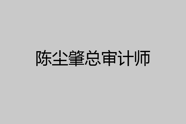 陈尘肇总审计师