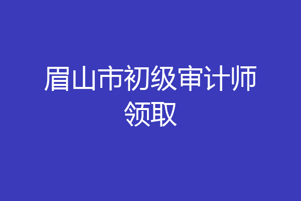 眉山市初级审计师领取