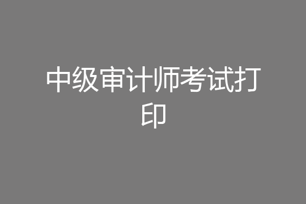 中级审计师考试打印