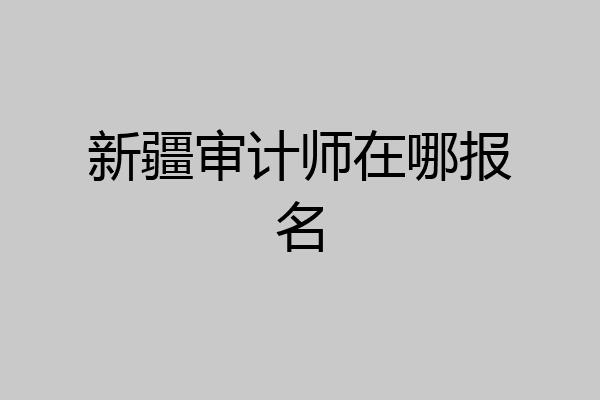 新疆审计师在哪报名