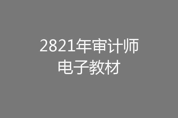 2821年审计师电子教材