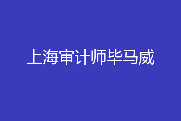 上海审计师毕马威