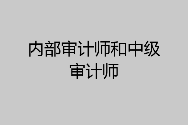 内部审计师和中级审计师