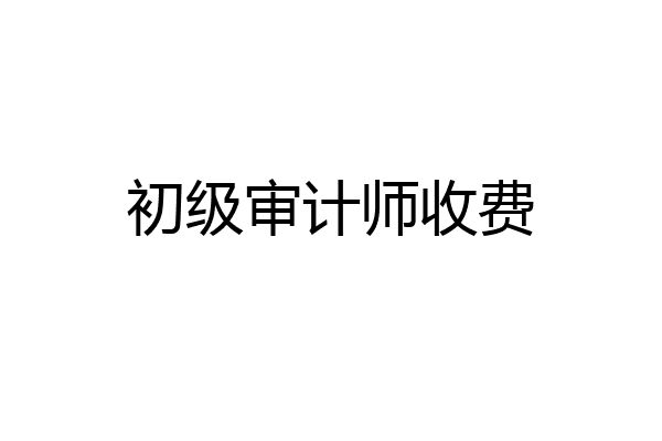 初级审计师收费