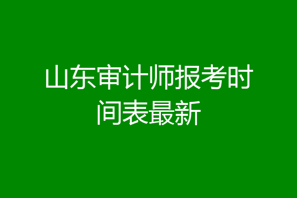 山东审计师报考时间表最新