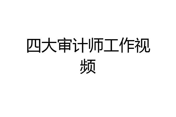 四大审计师工作视频
