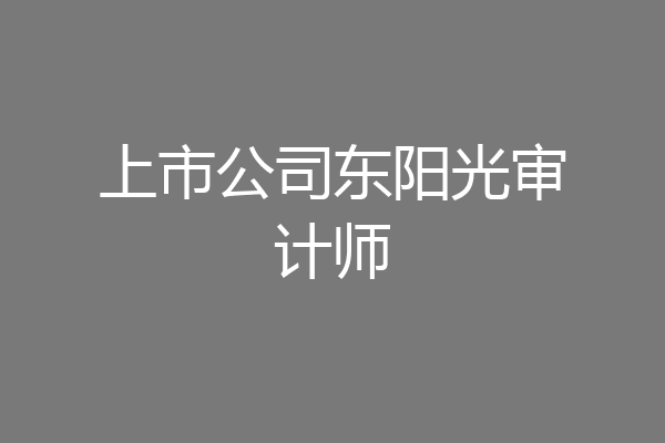 上市公司东阳光审计师