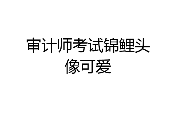 审计师考试锦鲤头像可爱