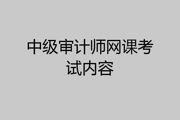 中级审计师网课考试内容