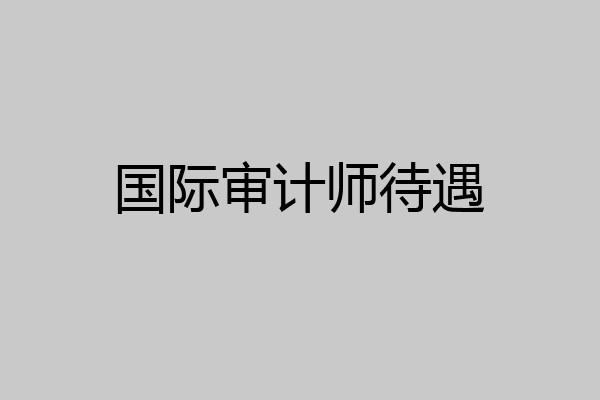 国际审计师待遇