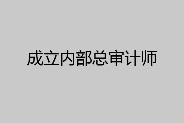 成立内部总审计师