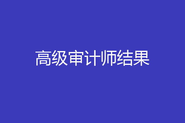高级审计师结果
