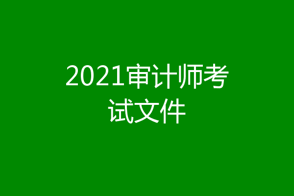 2021审计师考试文件