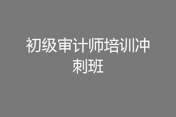 初级审计师培训冲刺班