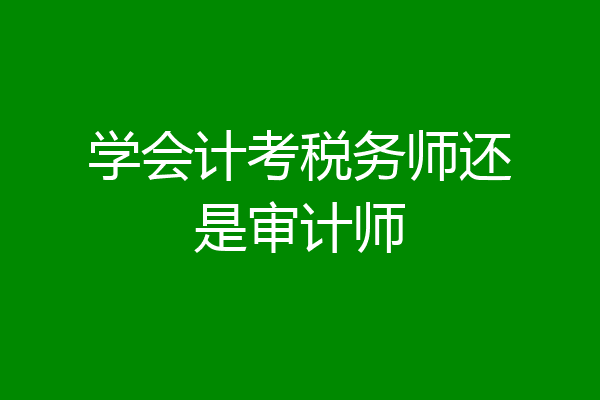 学会计考税务师还是审计师