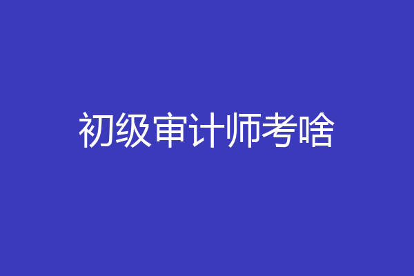 初级审计师考啥