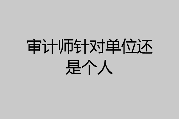 审计师针对单位还是个人