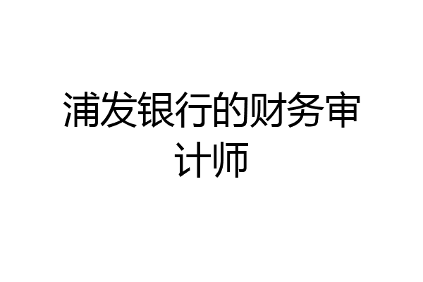 浦发银行的财务审计师