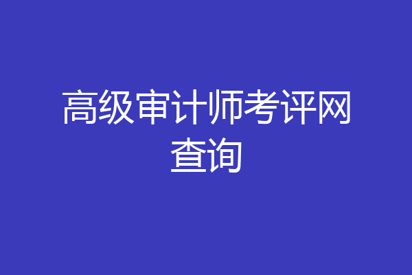 高级审计师考评网查询