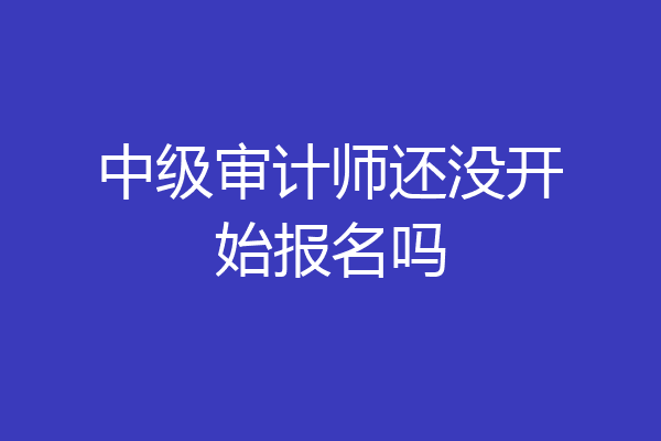 中级审计师还没开始报名吗
