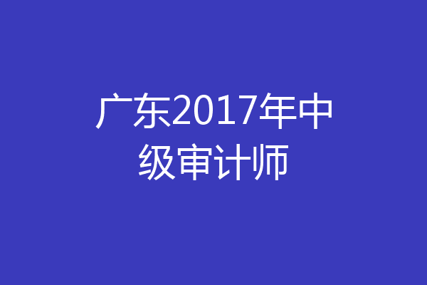 广东2017年中级审计师