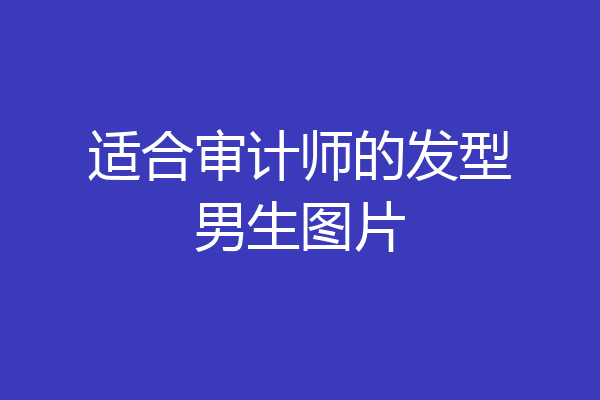 适合审计师的发型男生图片