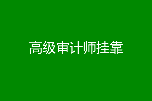 高级审计师挂靠